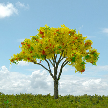 model trees